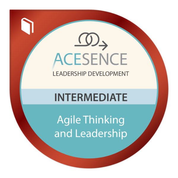 Agile Thinking and Leadership Intermediate
